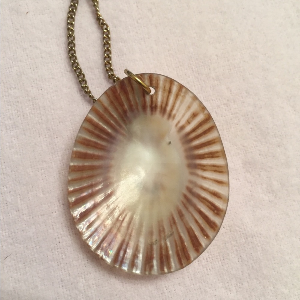 Shell Necklace - Picture 5 of 5